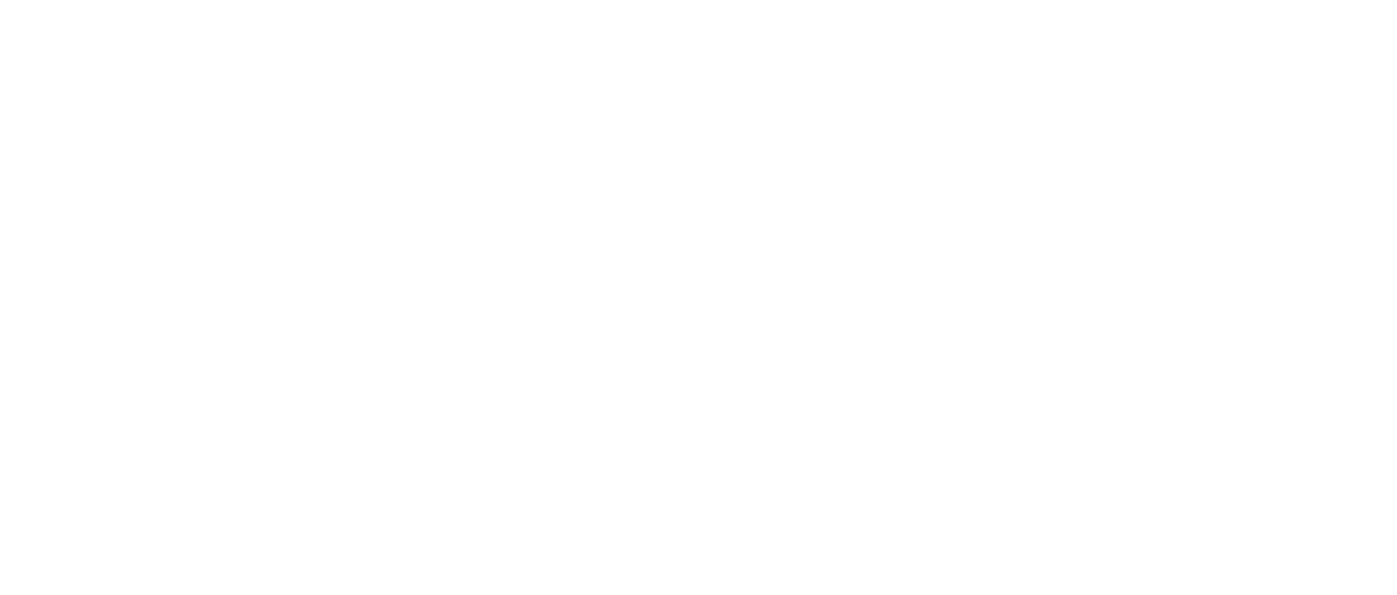 Logo e projektit STAKE